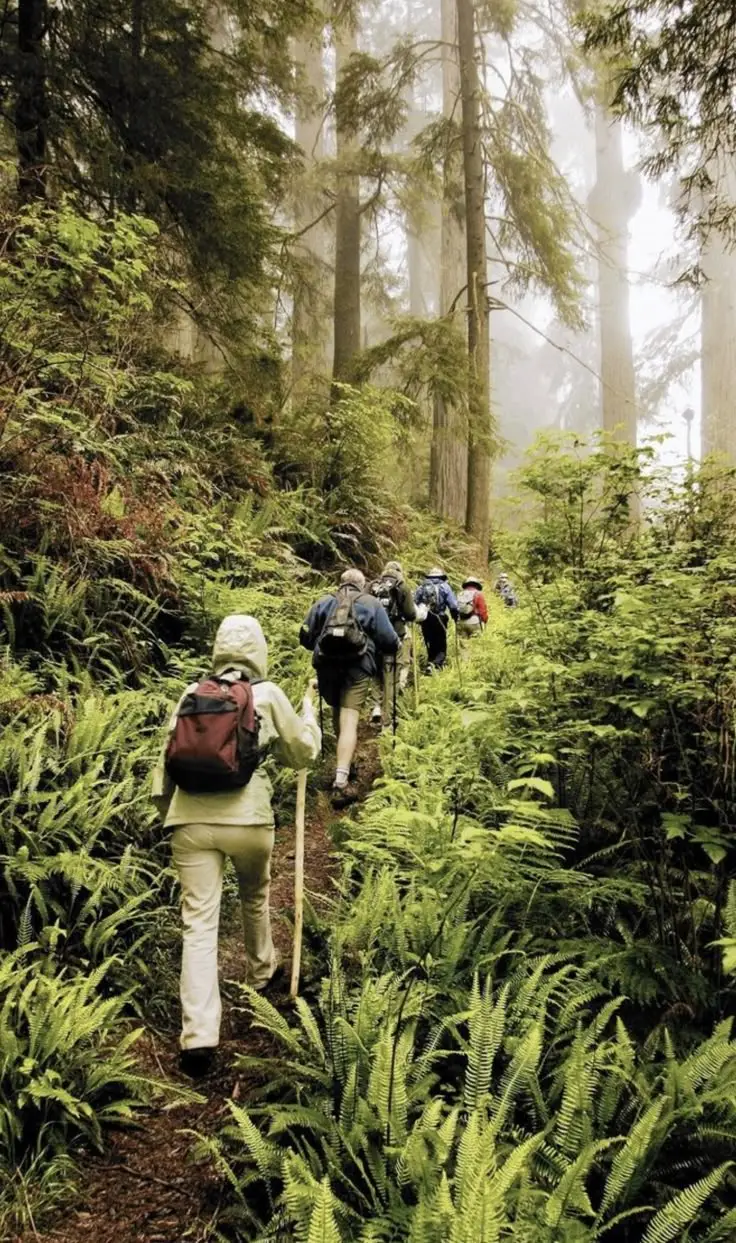 macario trekking on himalaya